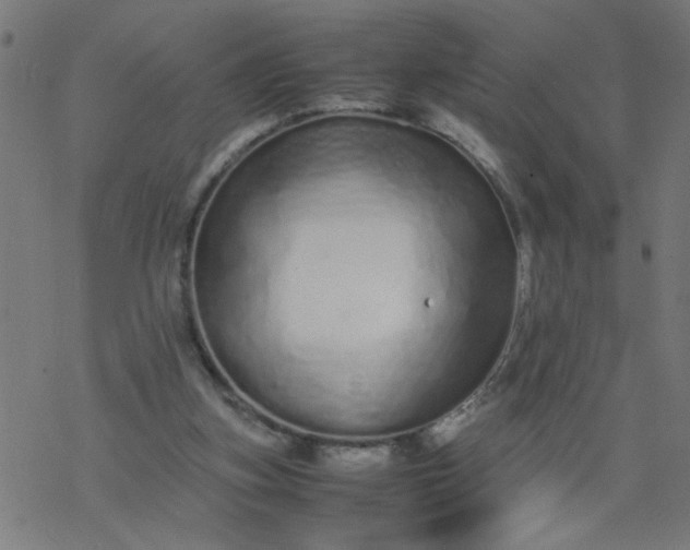 X0000077390155200611032010