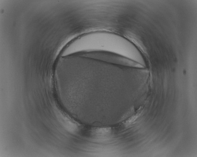 X0000077390156200611032010