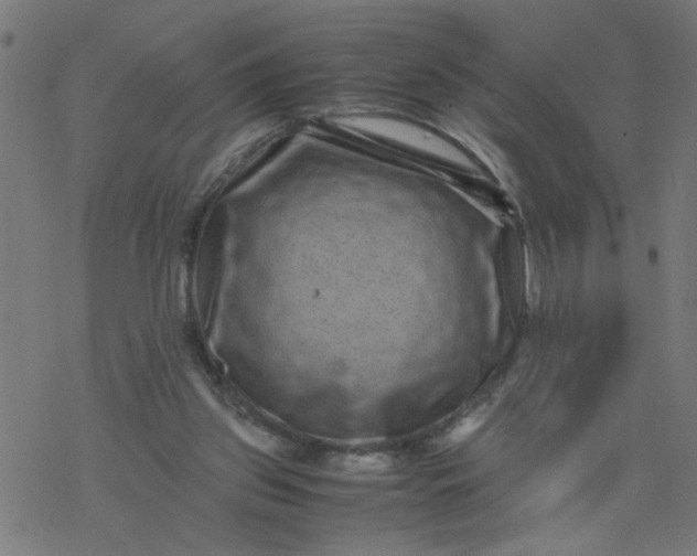 X0000077390157200611032010