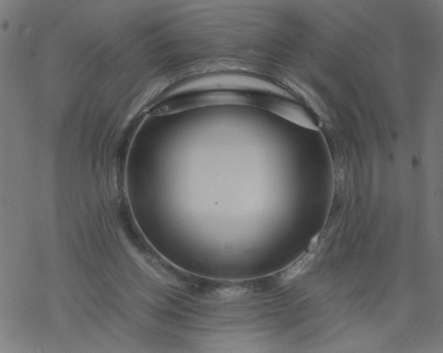 X0000077390158200611032010