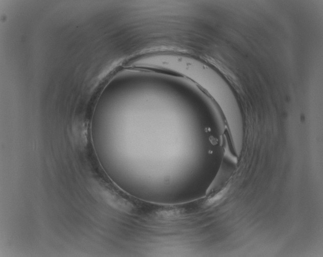 X0000077390160200611032010