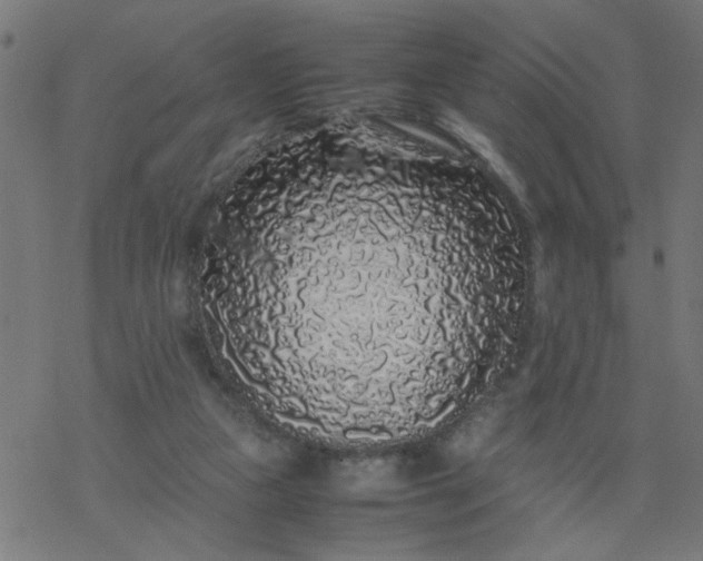 X0000077390161200611032010