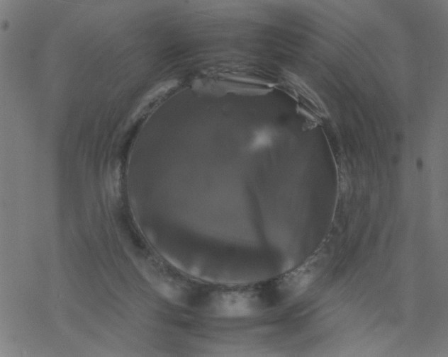 X0000077390163200611032010