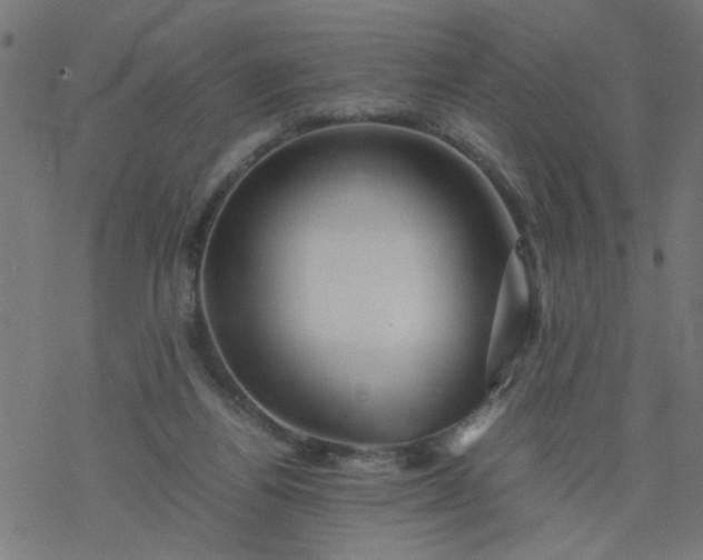 X0000077390164200611032010