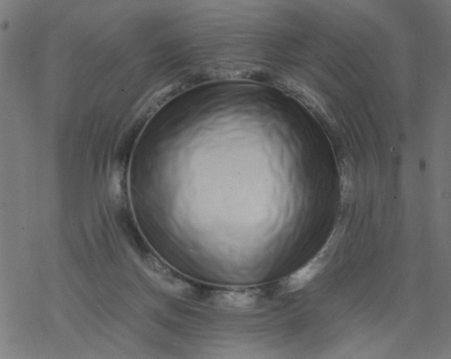 X0000077390166200611032010