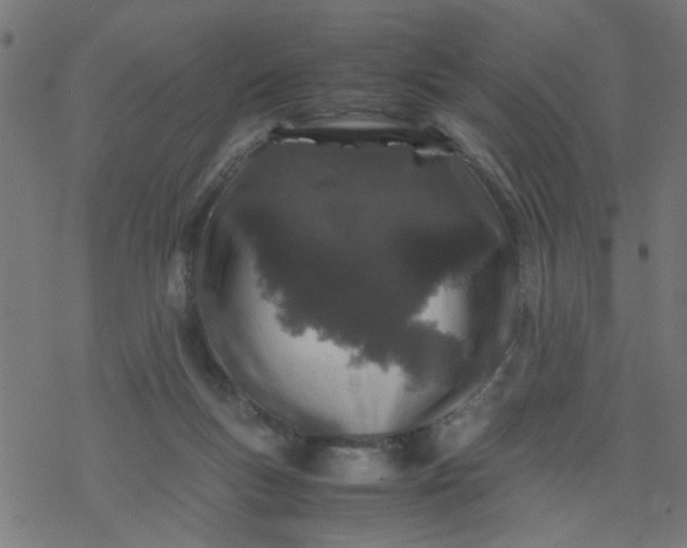 X0000077390167200611032010