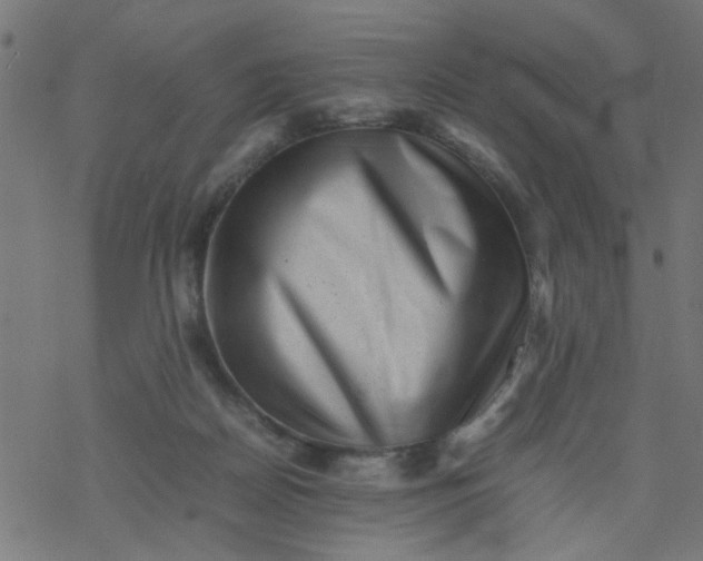 X0000077390170200611032010