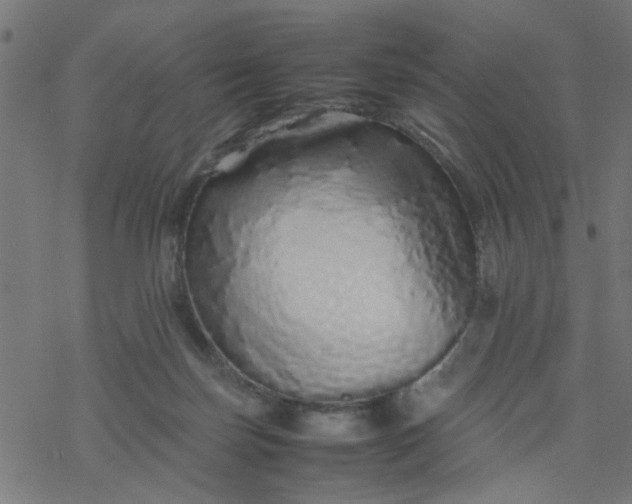 X0000077390171200611032010