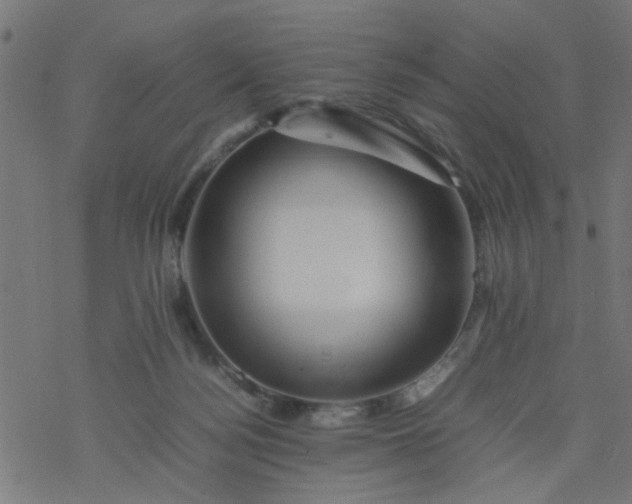 X0000077390172200611032010