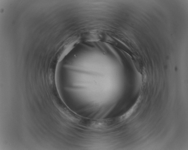 X0000077390174200611032010