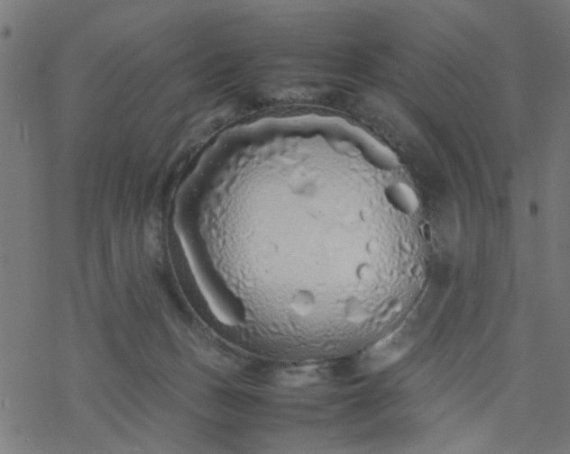 X0000077390175200611032010