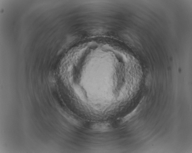 X0000077390179200611032010