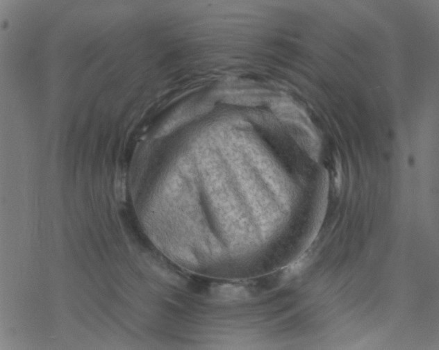 X0000077390180200611032010