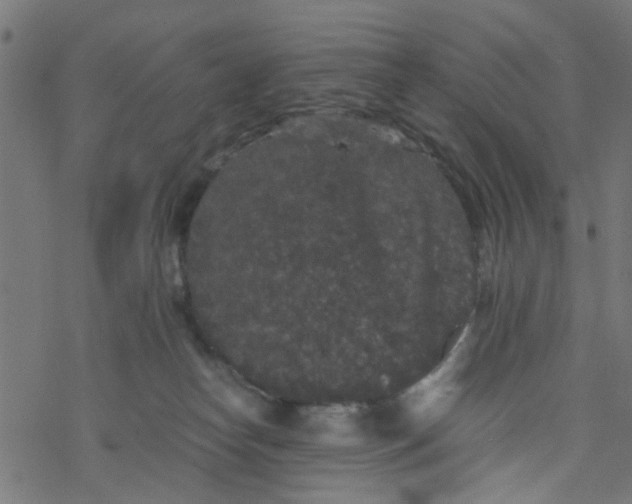 X0000077390182200611032011