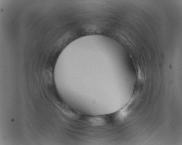 X0000077390183200611032011