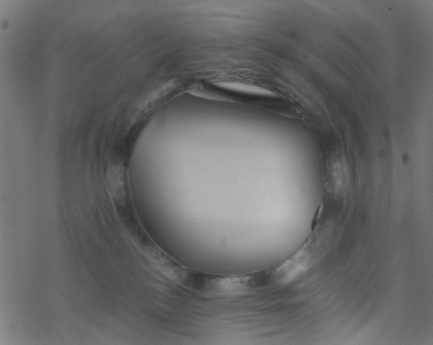 X0000077390184200611032011