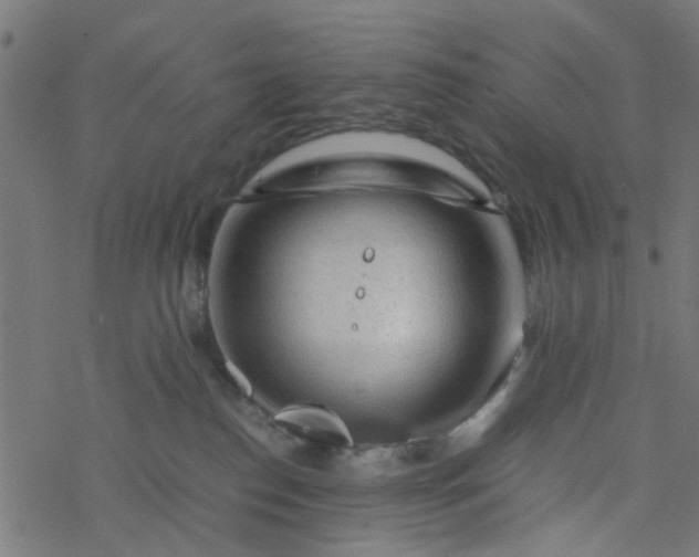 X0000077390186200611032011