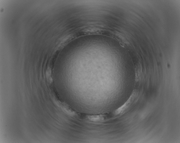 X0000077390187200611032011