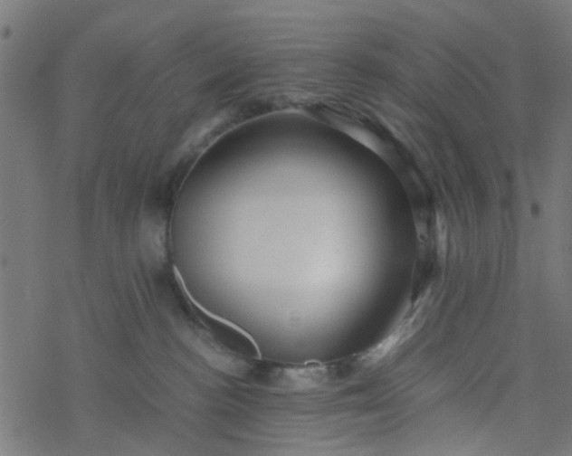 X0000077390188200611032011