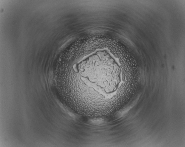 X0000077390189200611032011