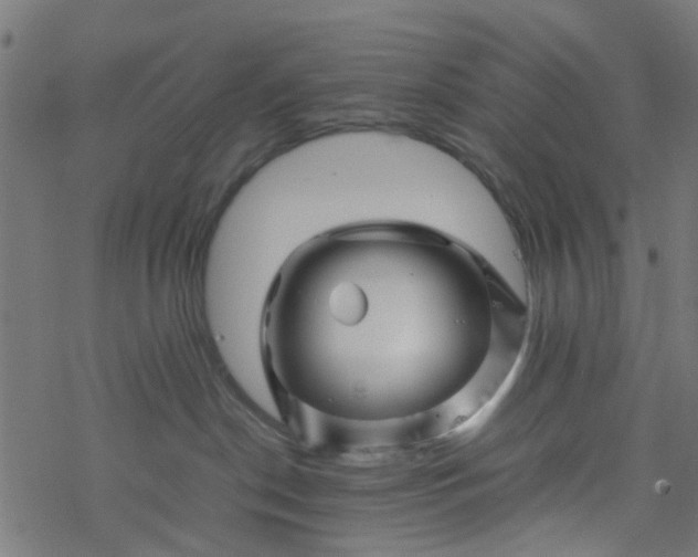 X0000077390190200611032011