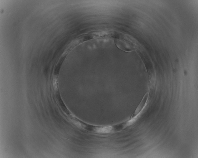 X0000077390191200611032011