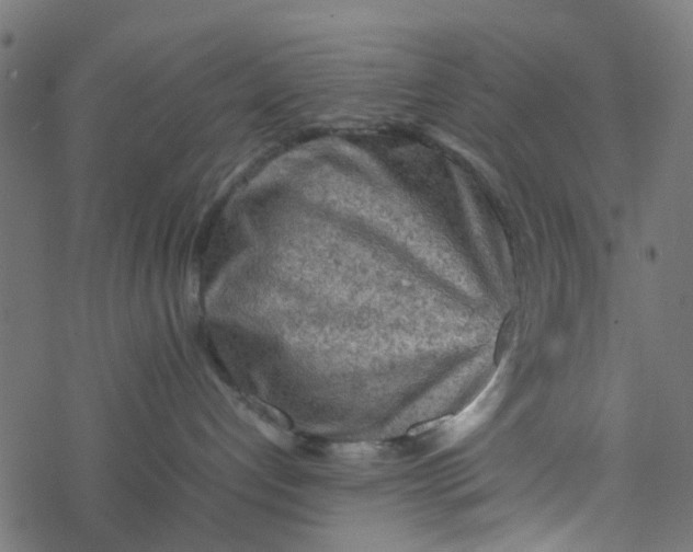 X0000077390192200611032011