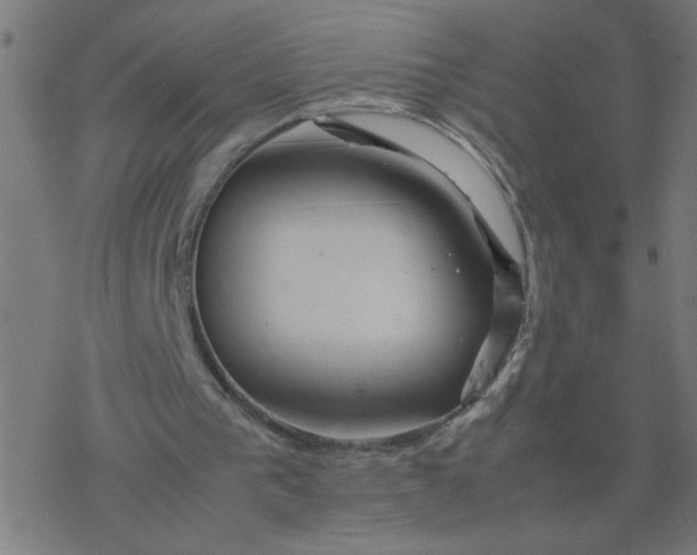 X0000077390193200611032010