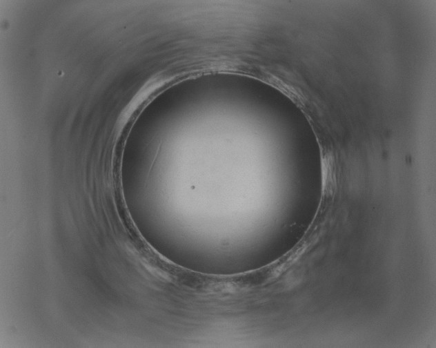 X0000077390195200611032010