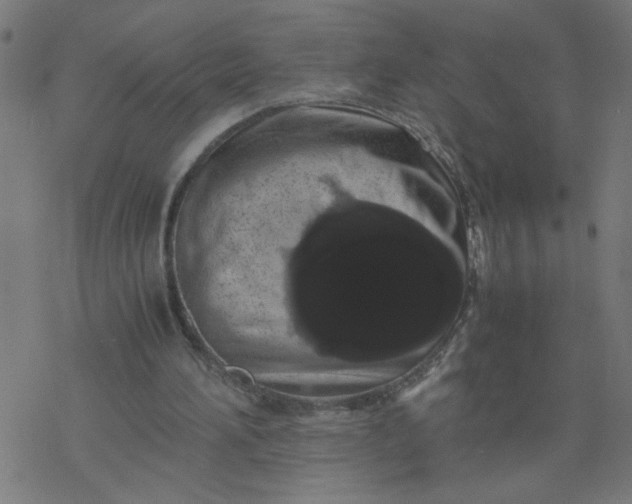 X0000077390196200611032010