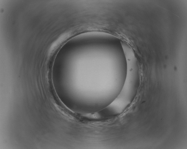 X0000077390197200611032010