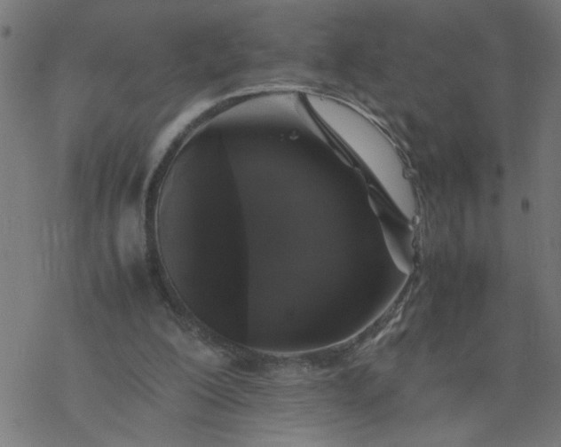 X0000077390200200611032010