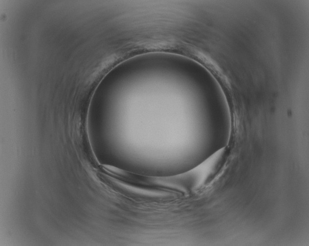 X0000077390201200611032010