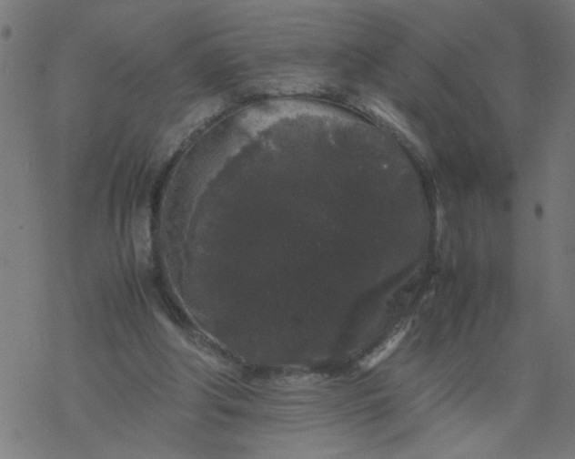 X0000077390202200611032010