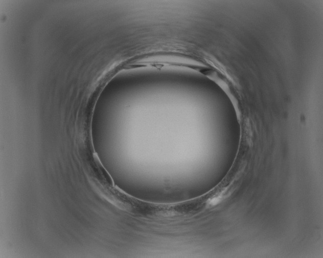 X0000077390203200611032010