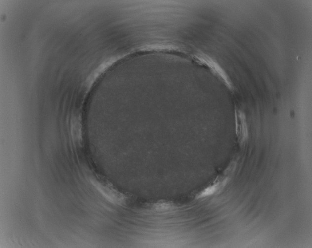 X0000077390204200611032010