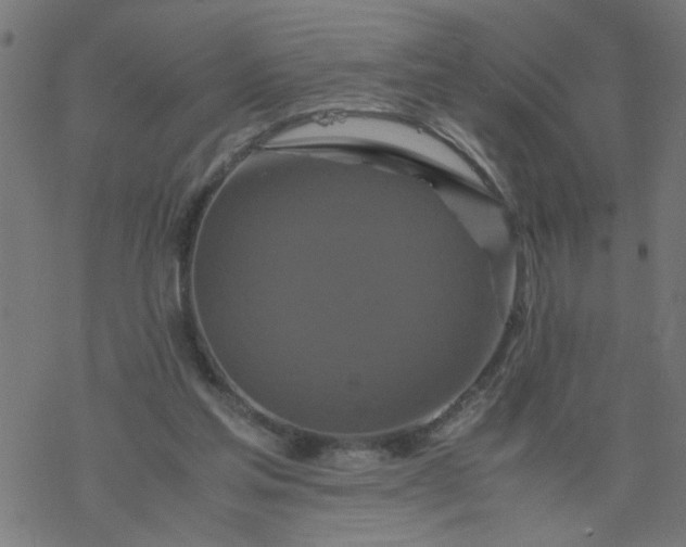 X0000077390205200611032010