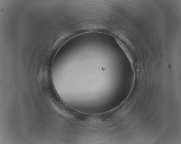 X0000077390207200611032010