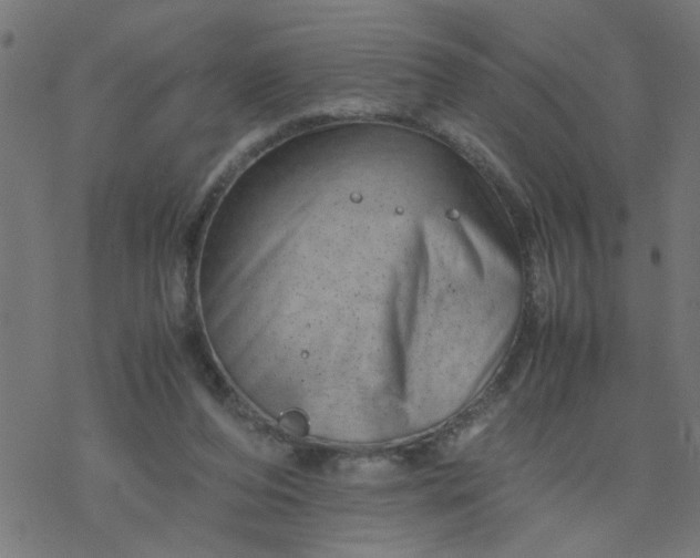 X0000077390208200611032010