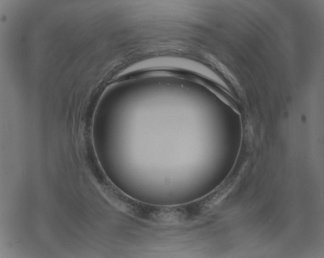 X0000077390209200611032010