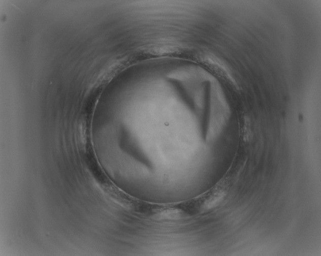 X0000077390210200611032010