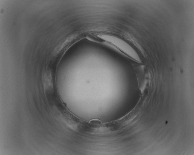 X0000077390212200611032010