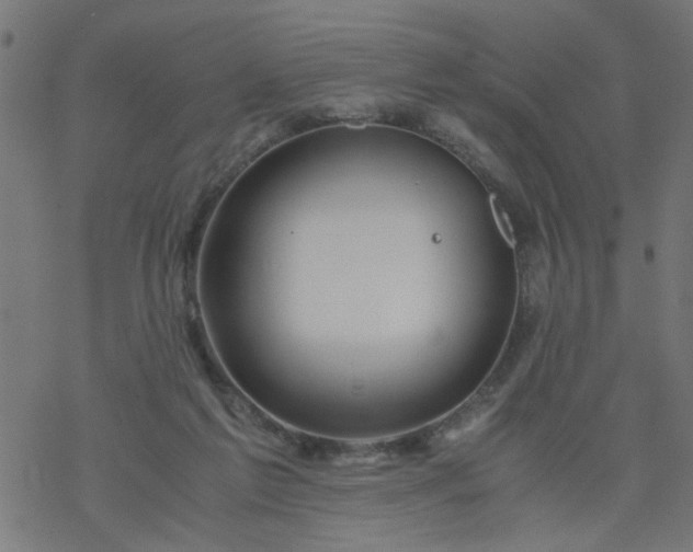 X0000077390213200611032010