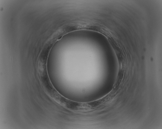 X0000077390215200611032010