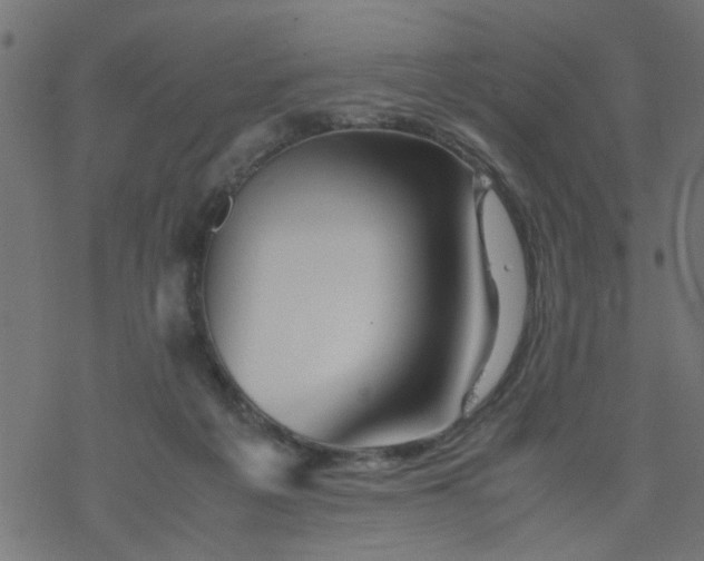 X0000077390217200611032010