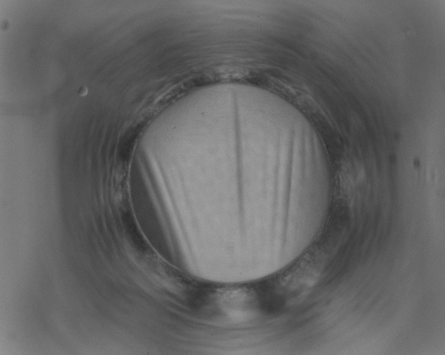 X0000077390218200611032009