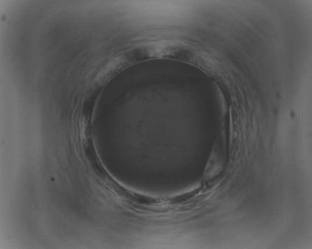 X0000077390219200611032009