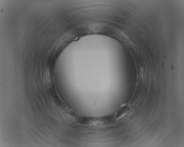 X0000077390220200611032009