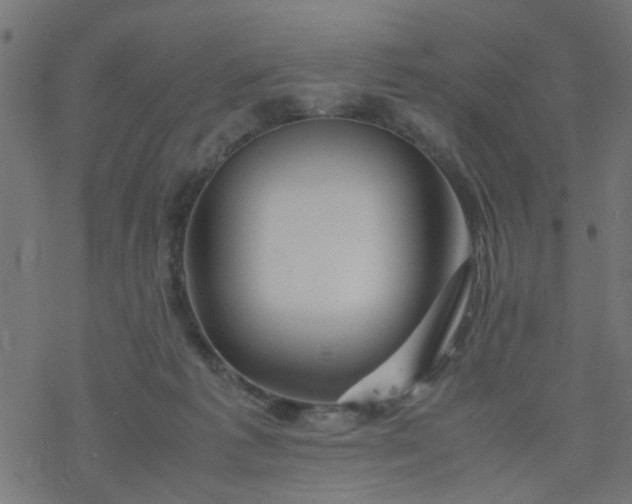 X0000077390221200611032009