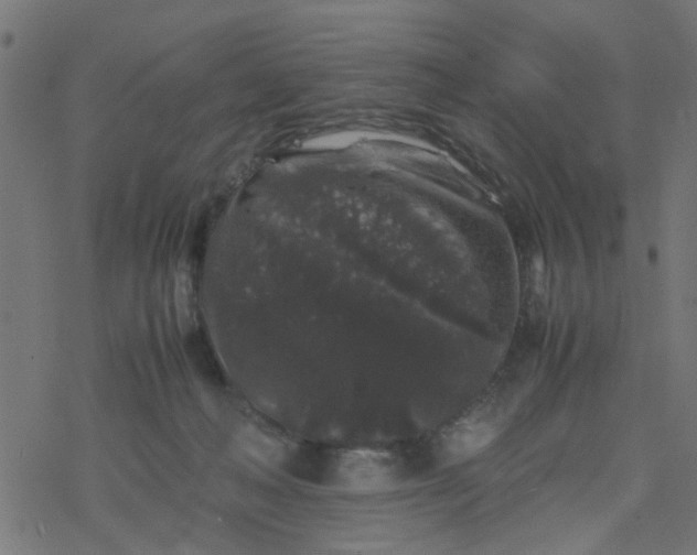 X0000077390222200611032009